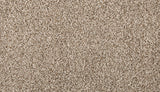 Mohawk Renovate III Carpet