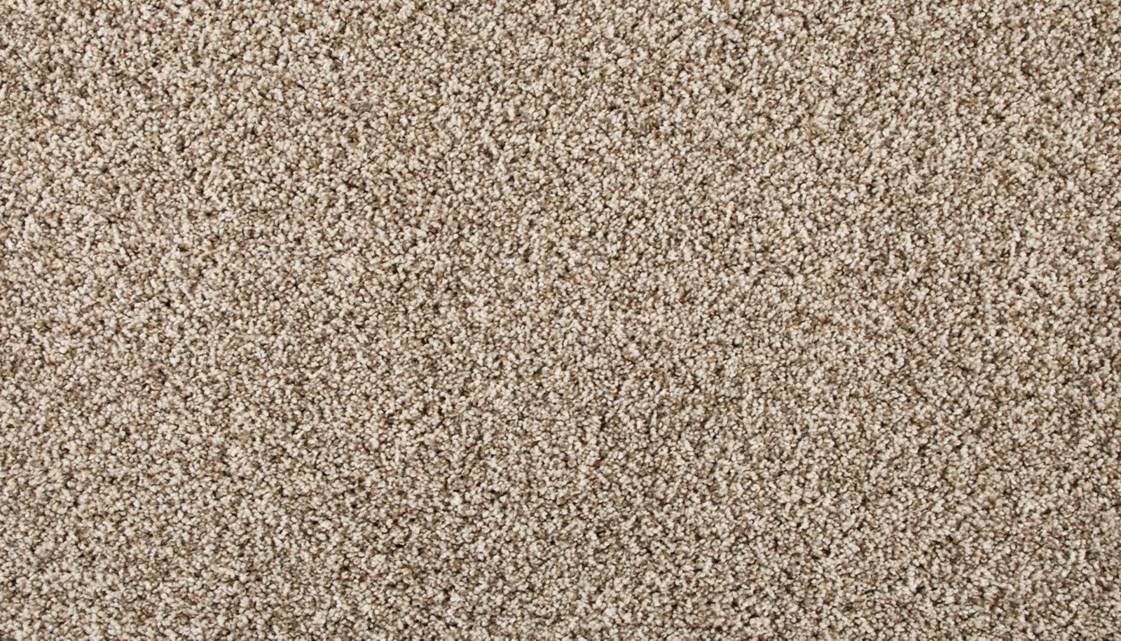 Mohawk Renovate III in Elk Beige, Carpet product detail