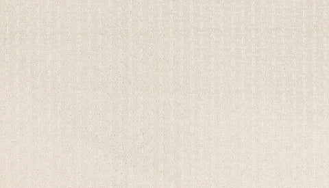 Mohawk Quality Surface Carpet