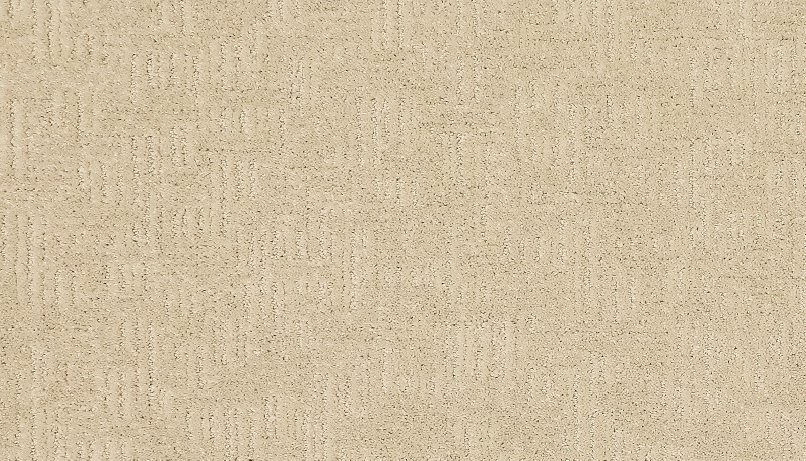 Mohawk Random Nature II in Illuminating, Carpet product detail