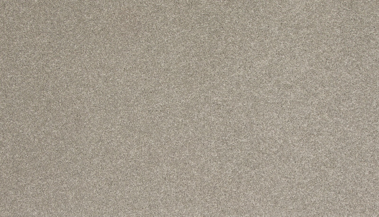 Mohawk Refined Saga I in Gentle Fog, Carpet product detail