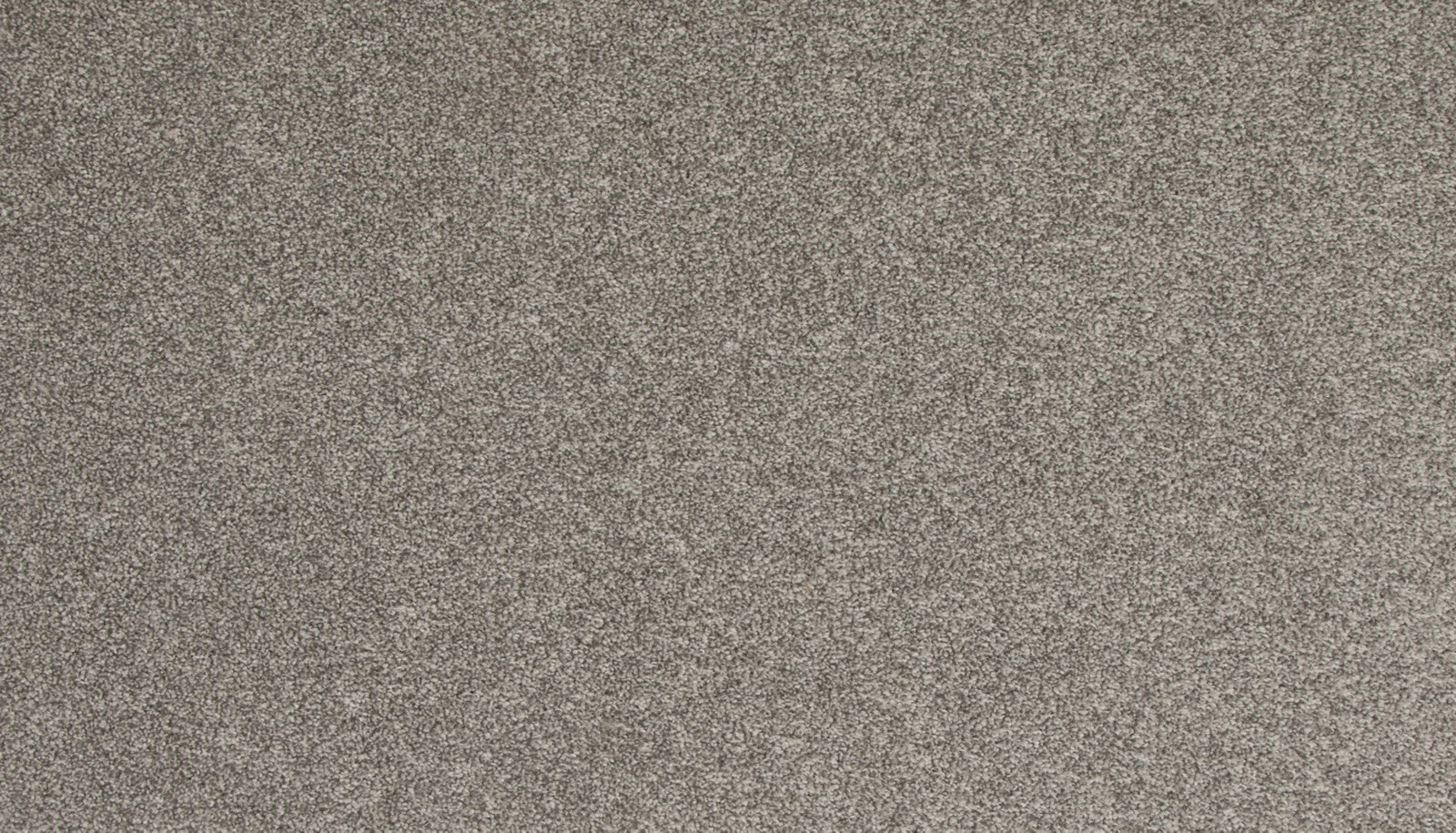 Mohawk Refined Saga I in Ashen Mistral, Carpet product detail