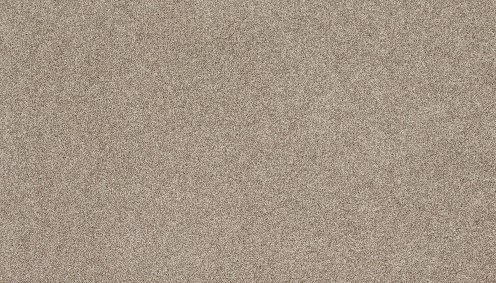 Mohawk Refined Saga II in Dusky Willow, Carpet product detail