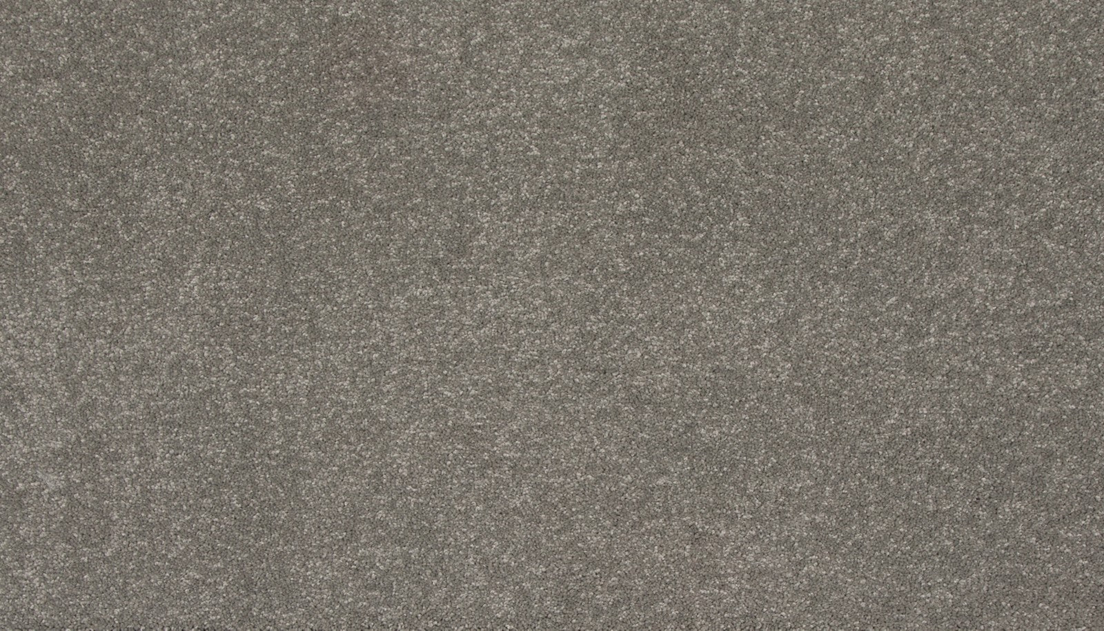 Mohawk Refined Saga II in Soft Shadow, Carpet product detail