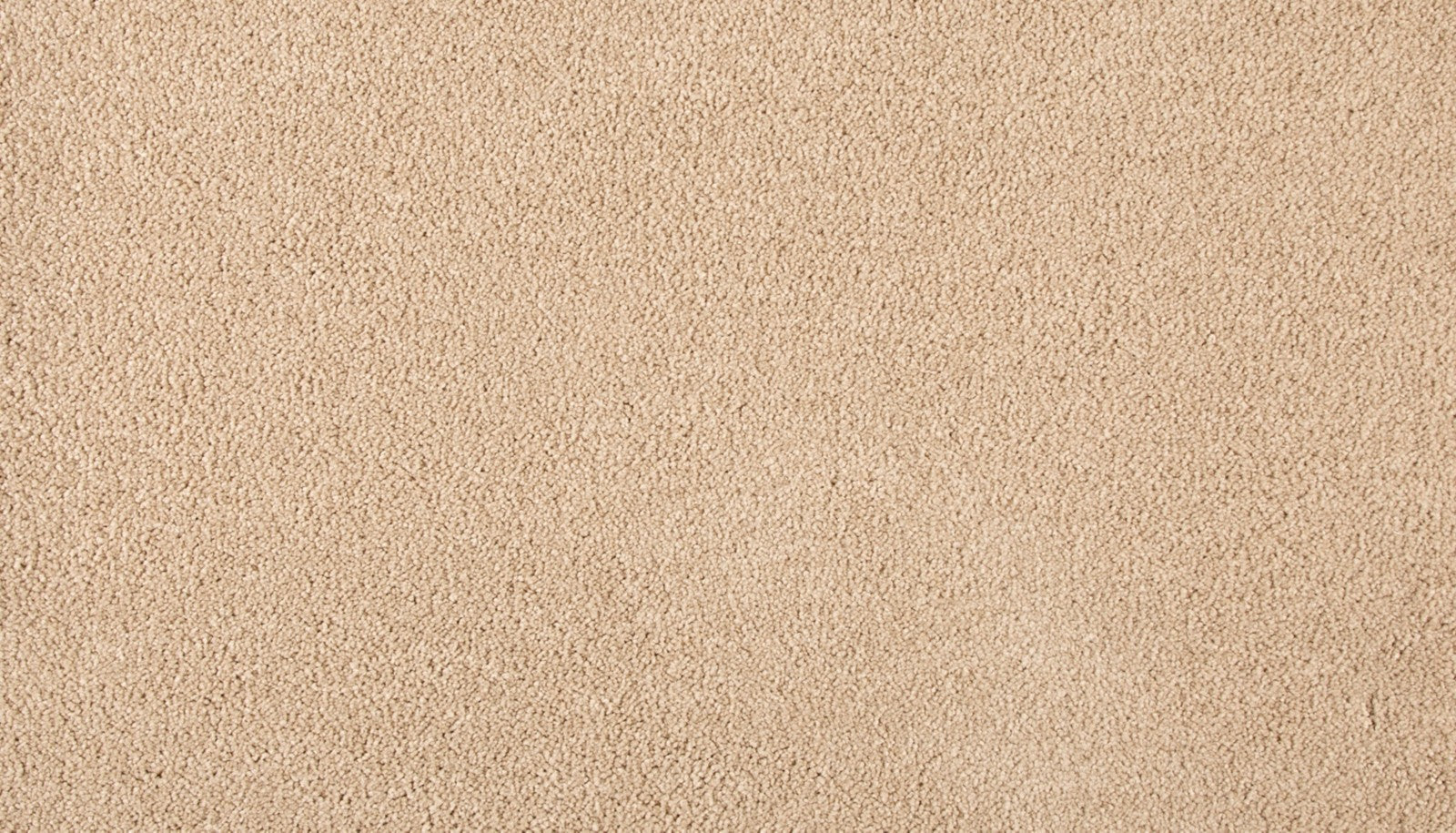 Mohawk Refined Saga III in Sandy Shores, Carpet product detail