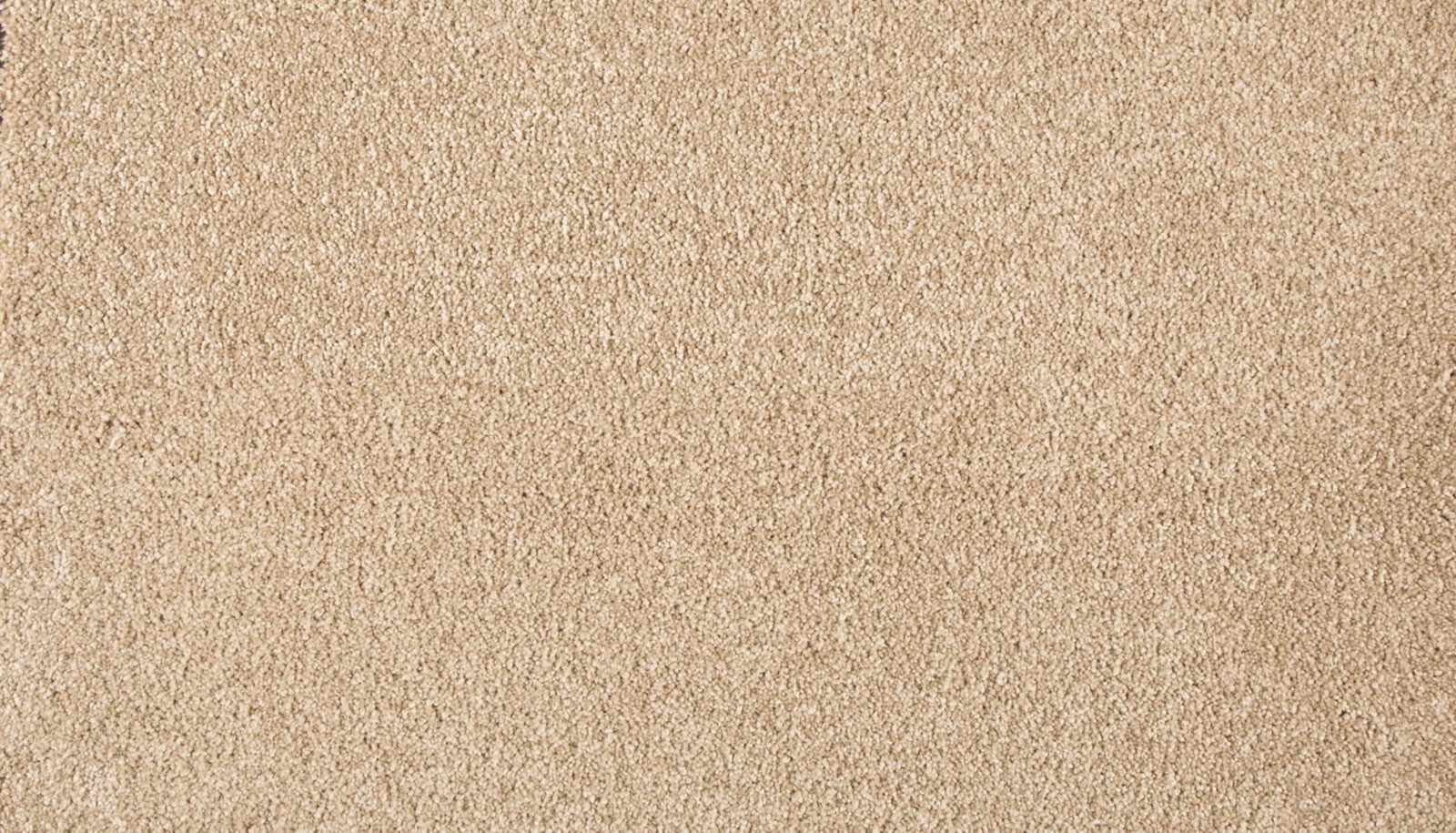 Mohawk Refined Saga III in Pale Birch, Carpet product detail
