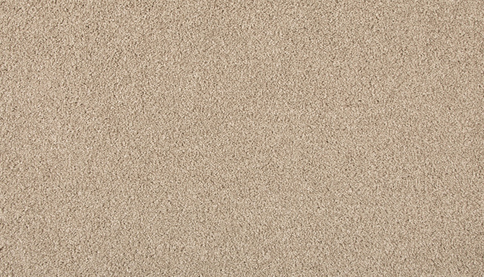 Mohawk Refined Saga III in Dusky Willow, Carpet product detail