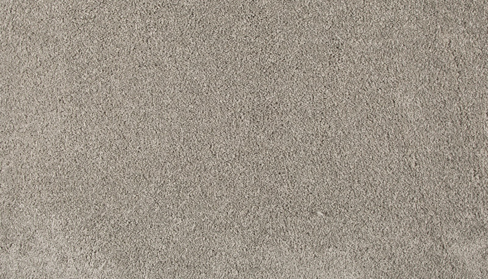 Mohawk Refined Saga III in Soft Shadow, Carpet product detail