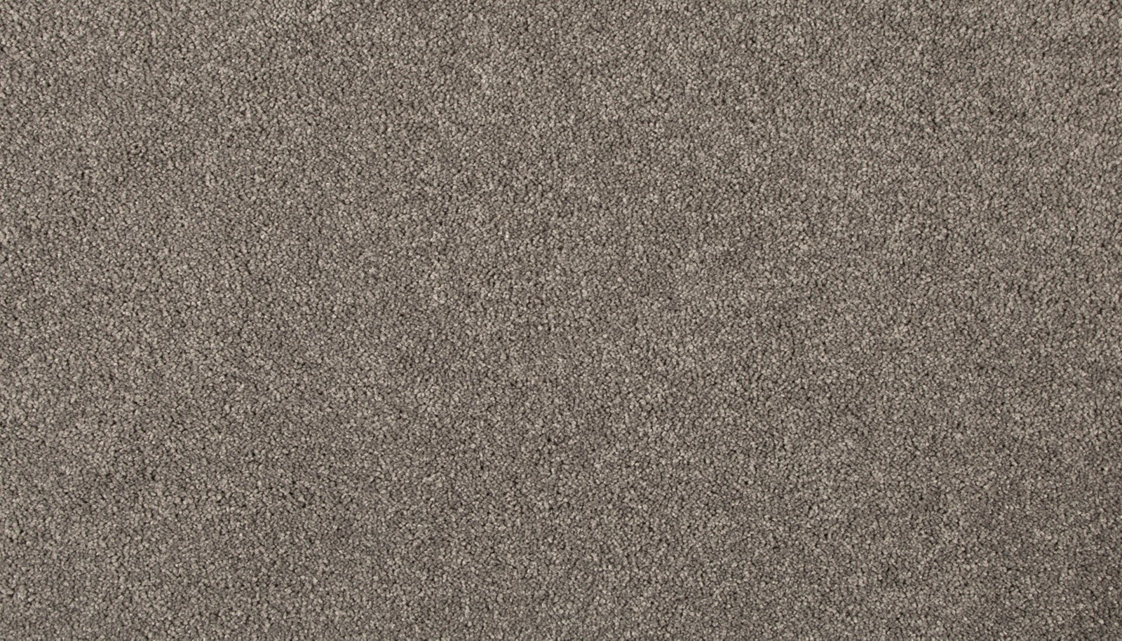 Mohawk Refined Saga III in Smokey Haze, Carpet product detail