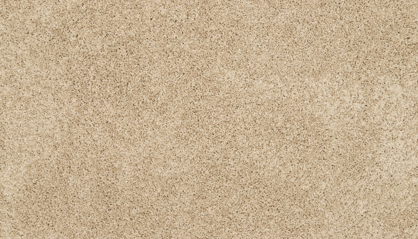 Mohawk Diffurent Choice I in Sandy Beach, Carpet product detail