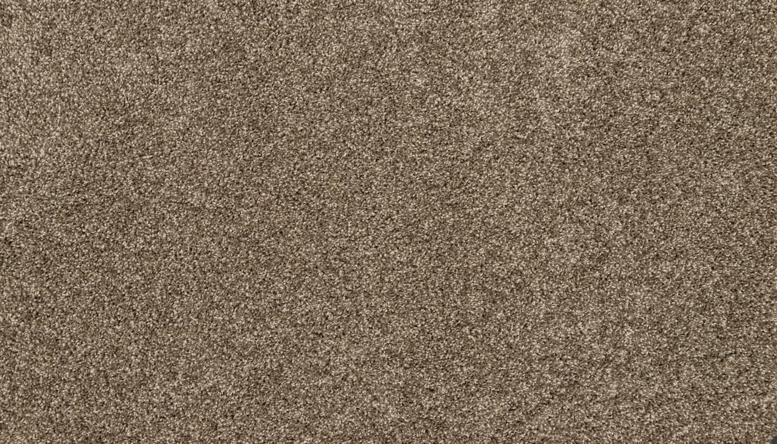 Mohawk Diffurent Choice I in Legend, Carpet product detail