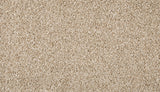Mohawk Diffurent Choice II Carpet