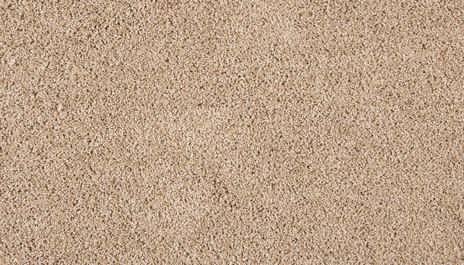 Mohawk Diffurent Choice II in Harmony, Carpet product detail