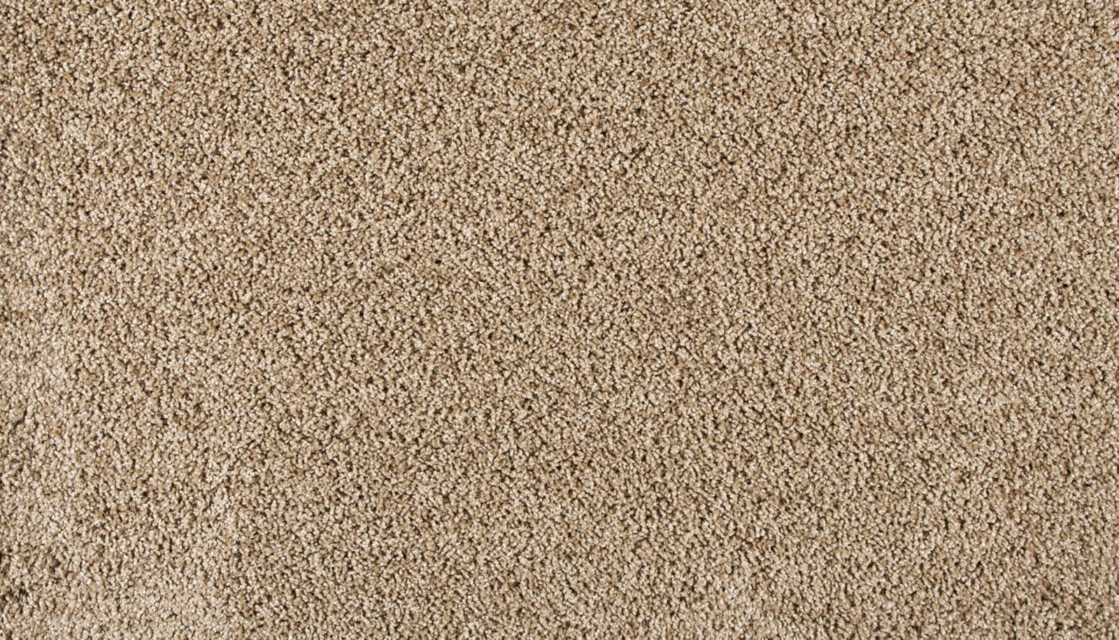 Mohawk Diffurent Choice II in Parchment, Carpet product detail