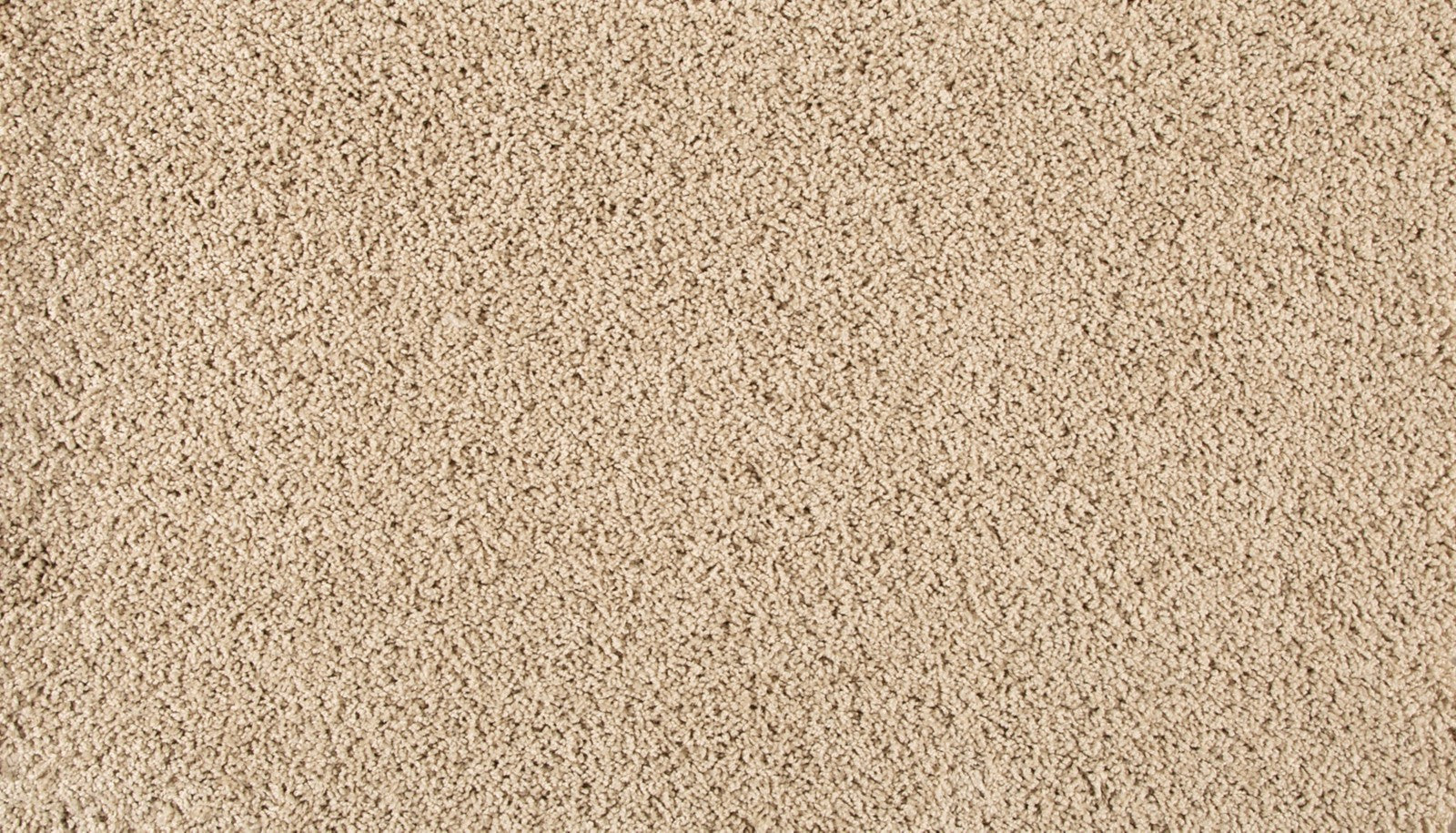 Mohawk Diffurent Choice III in Sandy Beach, Carpet product detail