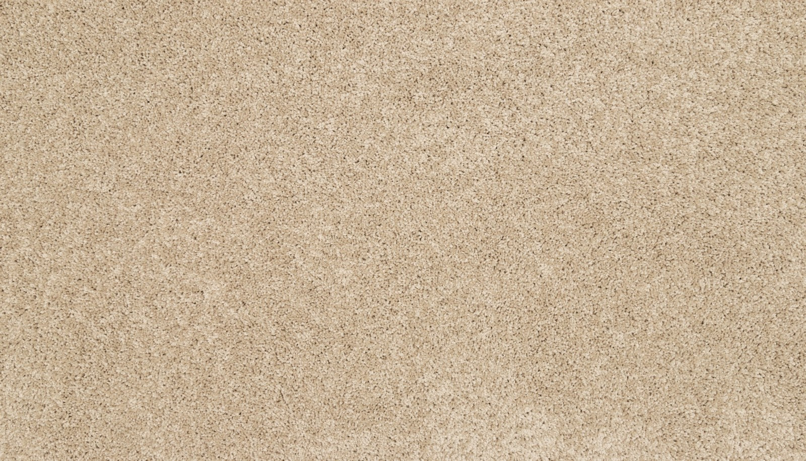 Mohawk Claws And Effect I in Sandy Beach, Carpet product detail