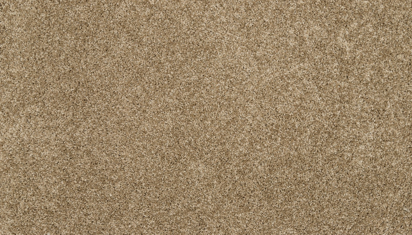 Mohawk Claws And Effect I in Parchment, Carpet product detail
