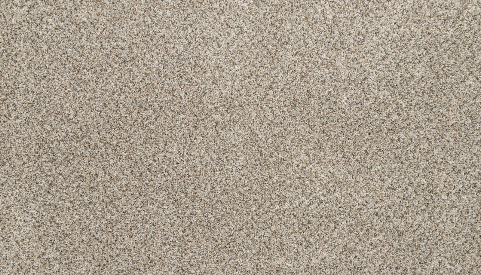 Mohawk Claws And Effect I in Soapstone, Carpet product detail