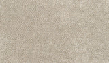 Mohawk Claws And Effect I Carpet