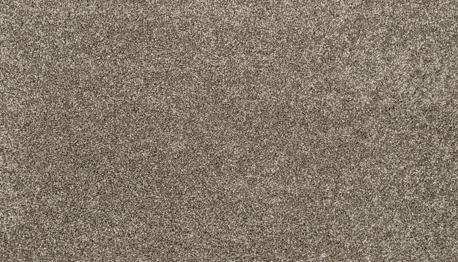 Mohawk Claws And Effect I in Gravity, Carpet product detail