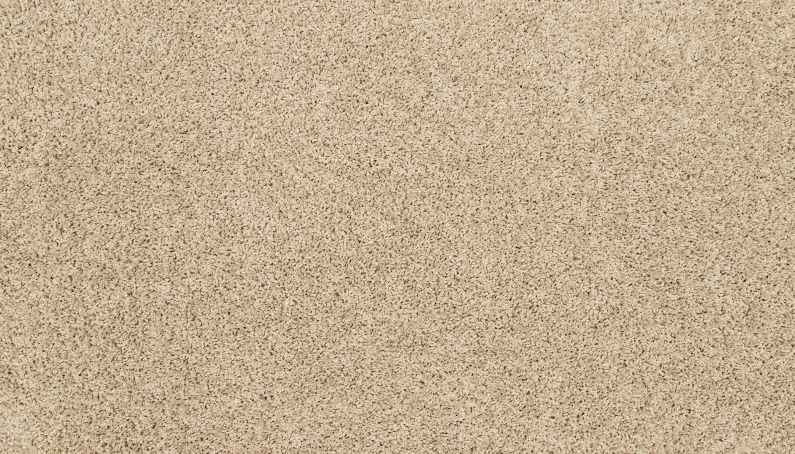 Mohawk Raise The Woof I in Sandy Beach, Carpet product detail