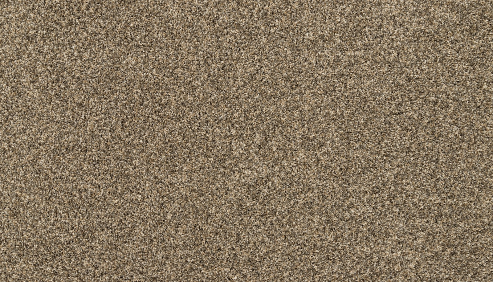 Mohawk Raise The Woof I in Cracked Wheat, Carpet product detail