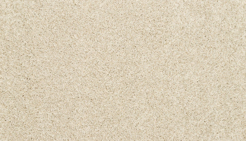 Mohawk Purrsonality I Carpet