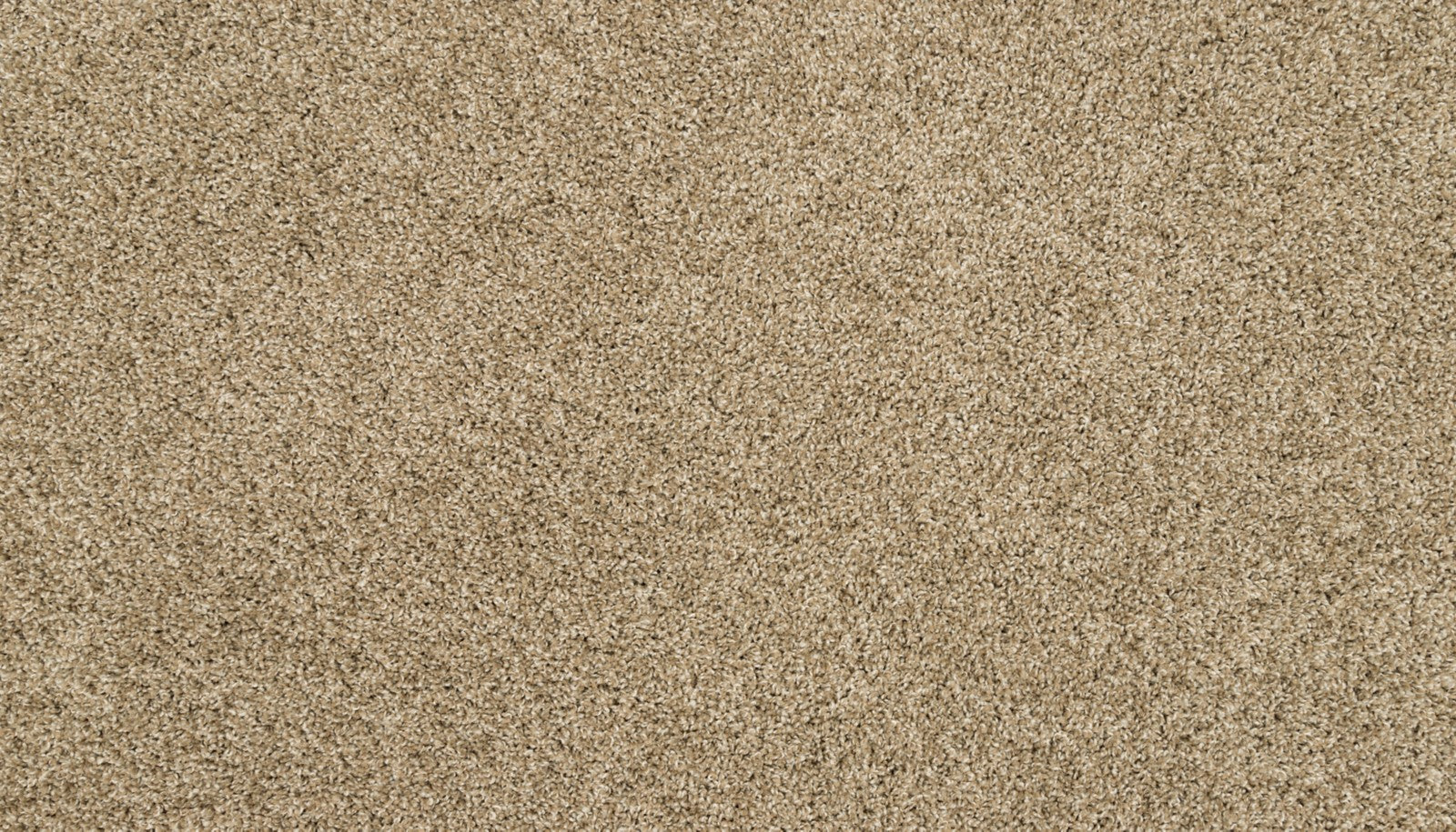 Mohawk Purrsonality I in Harmony, Carpet product detail