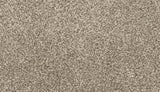 Mohawk Purrsonality I Carpet