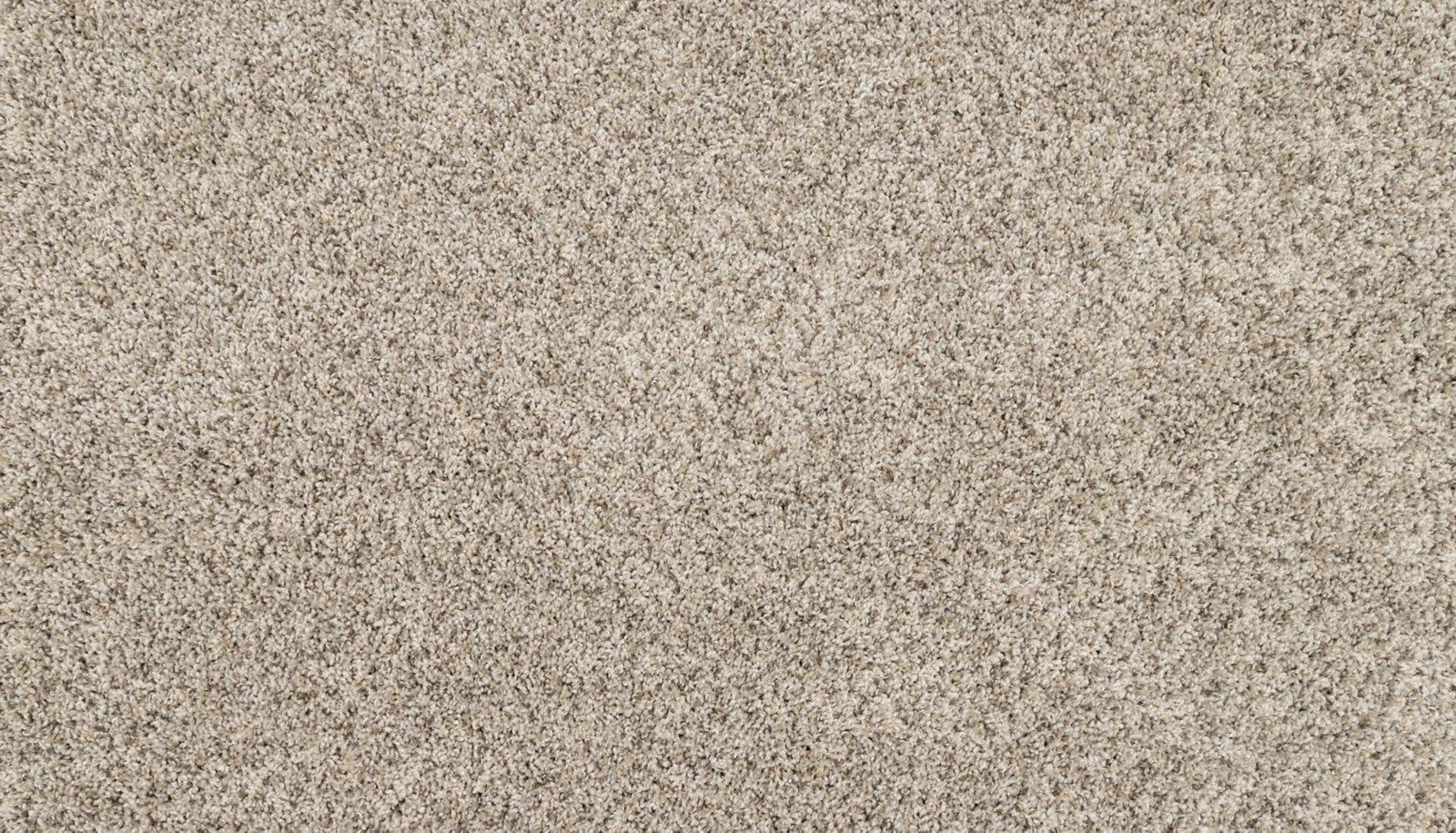 Mohawk Purrsonality I in Oyster, Carpet product detail