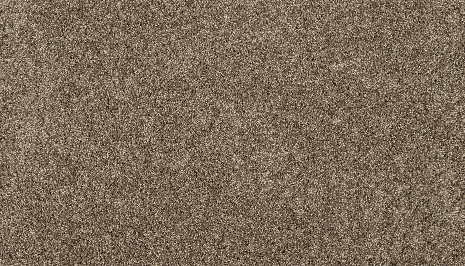 Mohawk Purrsonality I in Legend, Carpet product detail