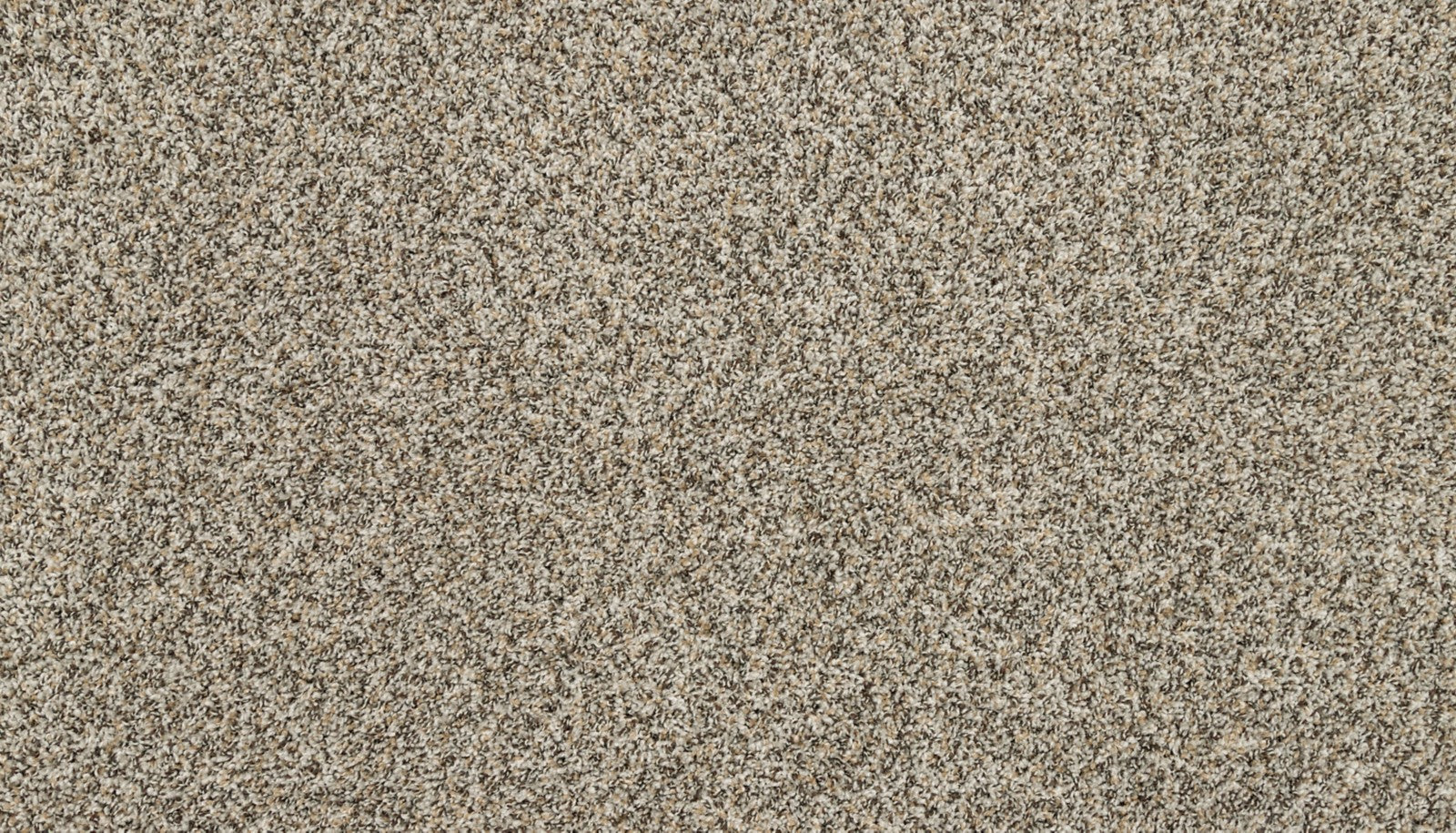 Mohawk Raise The Woof II in Highway, Carpet product detail