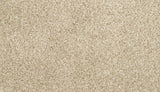 Mohawk Purrsonality II Carpet