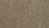 Mohawk Purrsonality II Carpet
