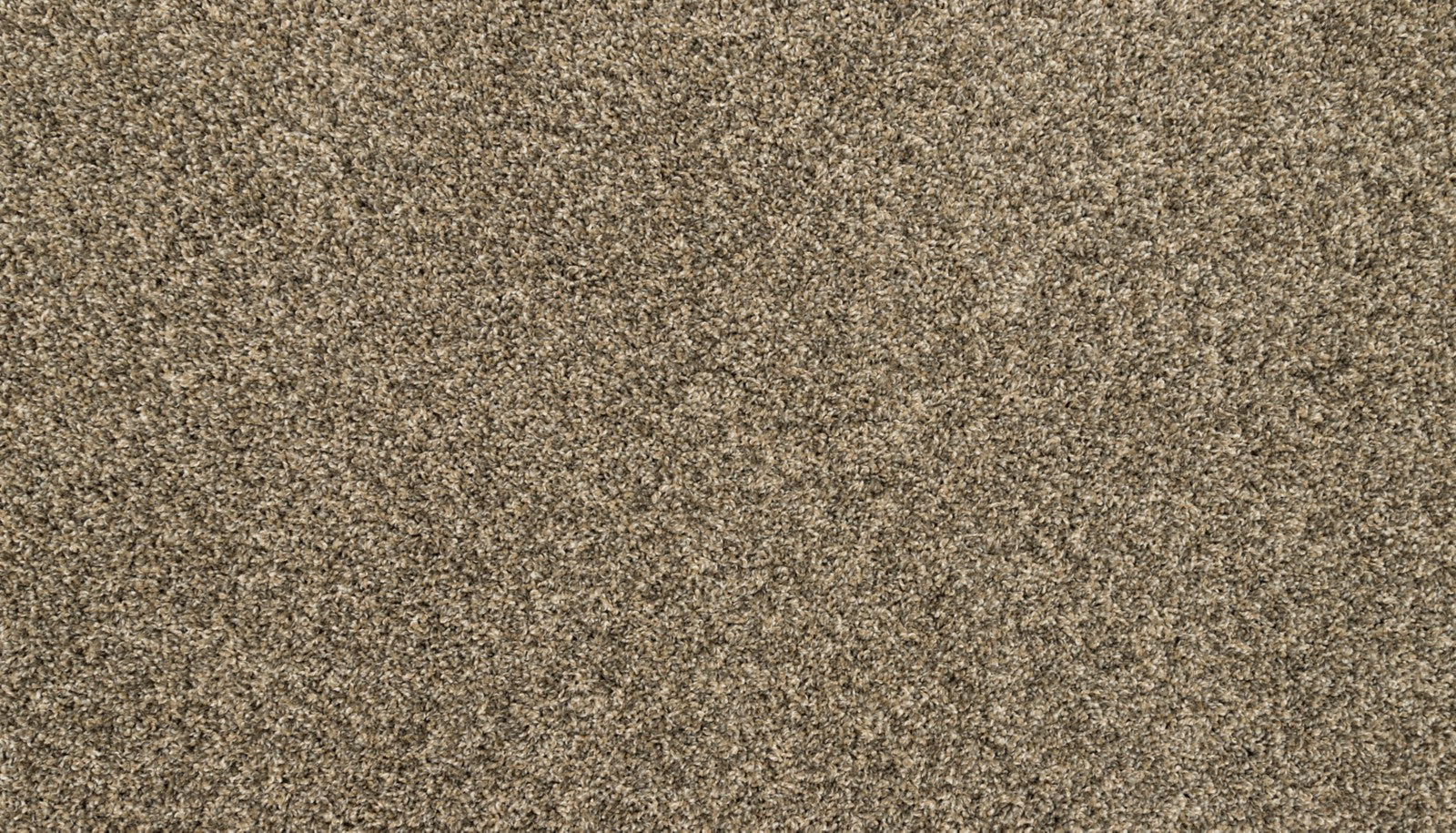 Mohawk Purrsonality II in Cracked Wheat, Carpet product detail