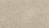 Mohawk Purrsonality II Carpet