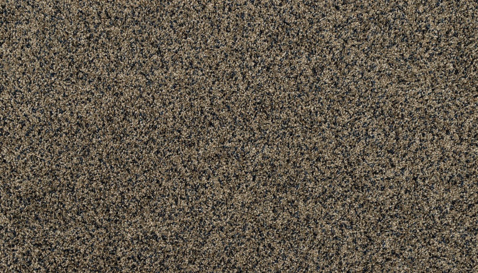 Mohawk Purrsonality III in Dark Hour, Carpet product detail