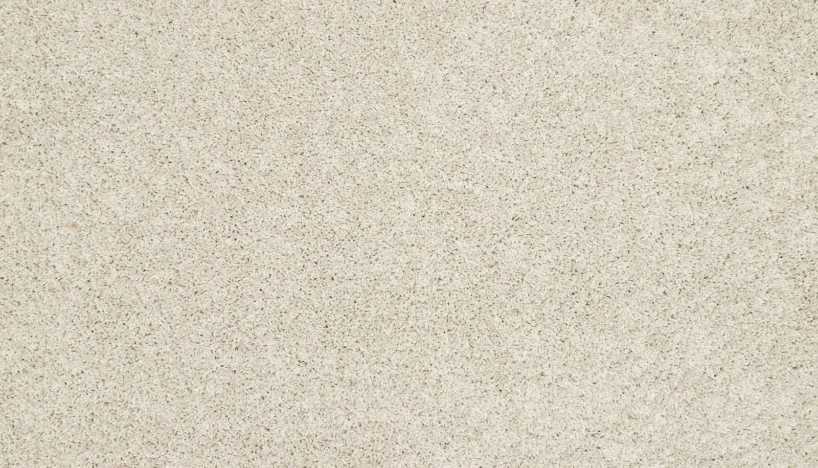 Mohawk Purrsonality III in Haze, Carpet product detail