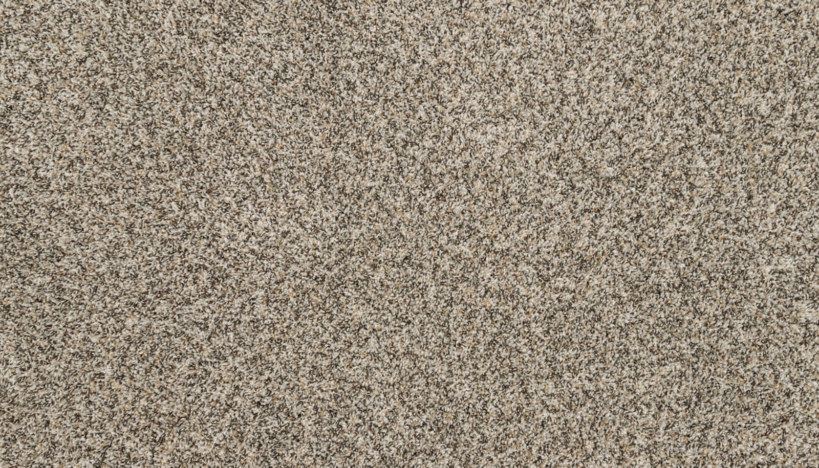 Mohawk Purrsonality III in Highway, Carpet product detail