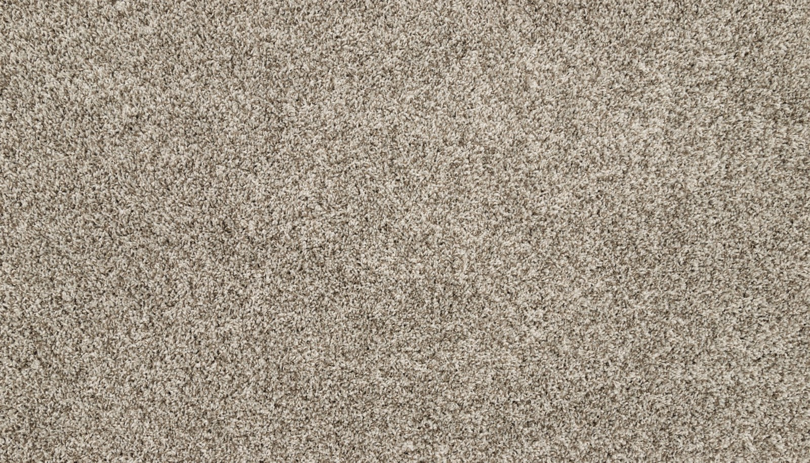 Mohawk Purrsonality III in Pebble Trail, Carpet product detail