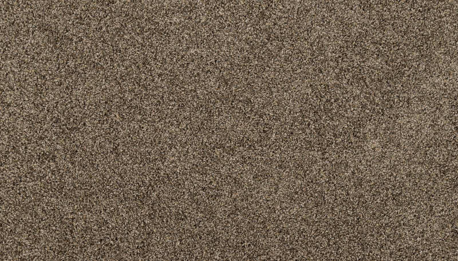 Mohawk Purrsonality III in Nightshade, Carpet product detail