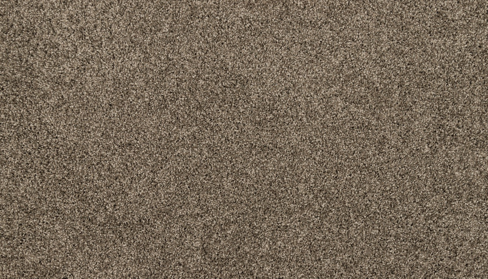 Mohawk Purrsonality III in Matte, Carpet product detail
