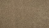 Mohawk Luxuriant Space Carpet