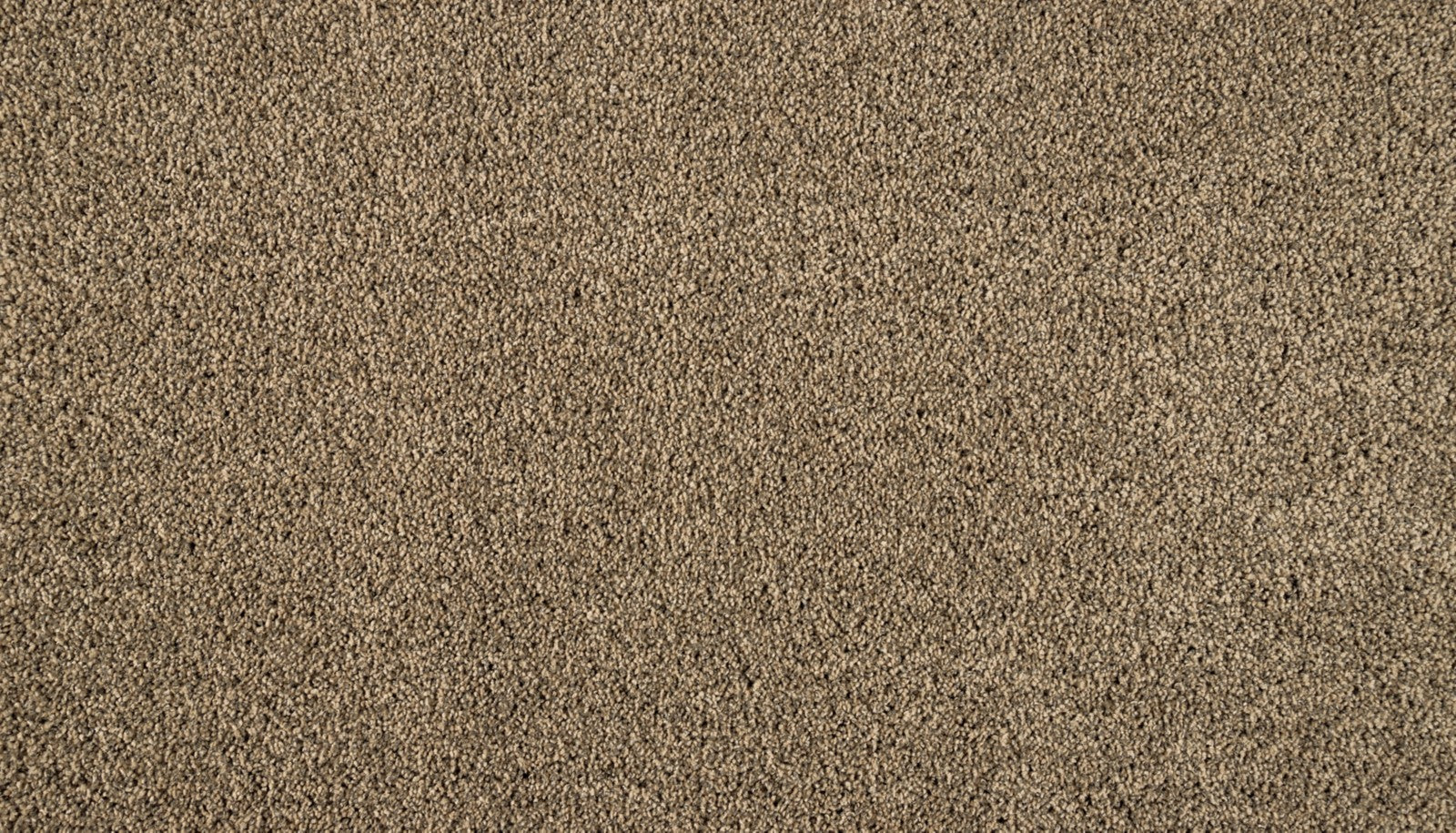 Mohawk Luxuriant Surface in Halo, Carpet product detail