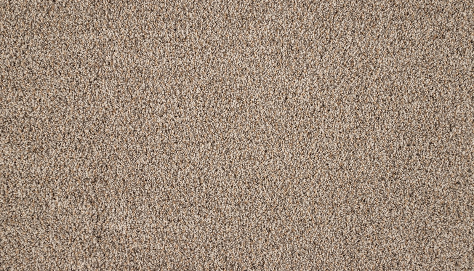 Mohawk Luxuriant Space in Scroll, Carpet product detail