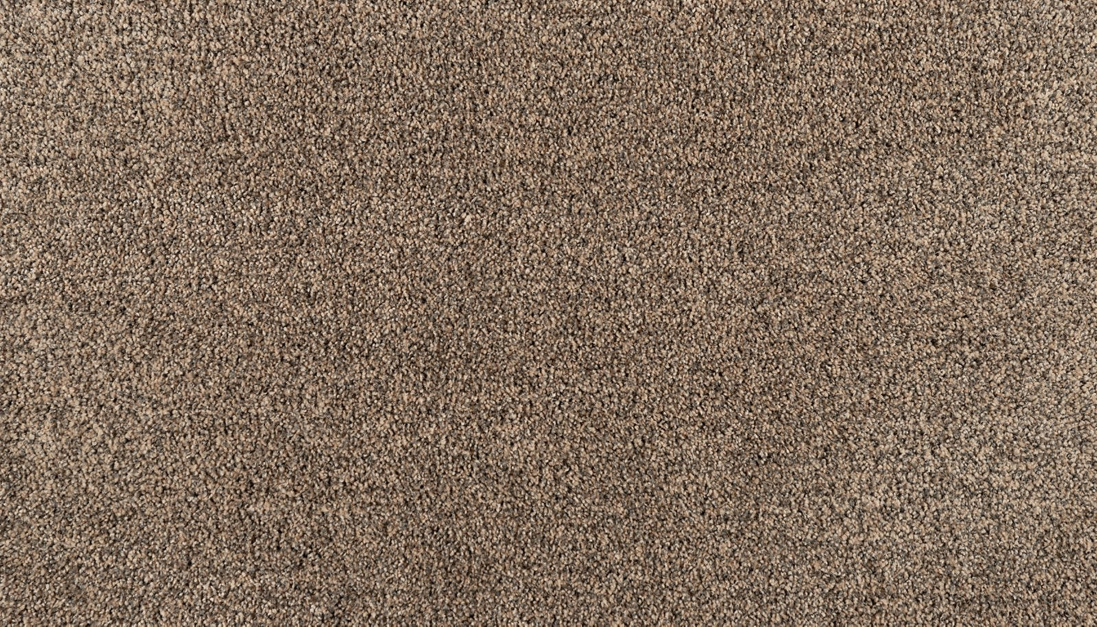 Mohawk Reverie in Blissful, Carpet product detail