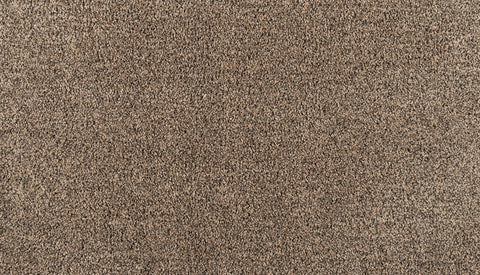 Mohawk Reverie Carpet