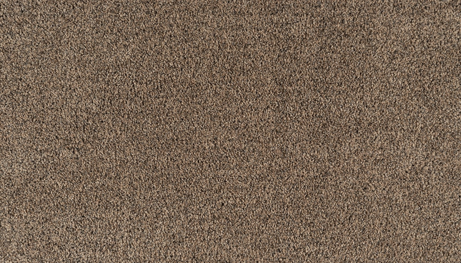 Mohawk Reverie in Gentle, Carpet product detail