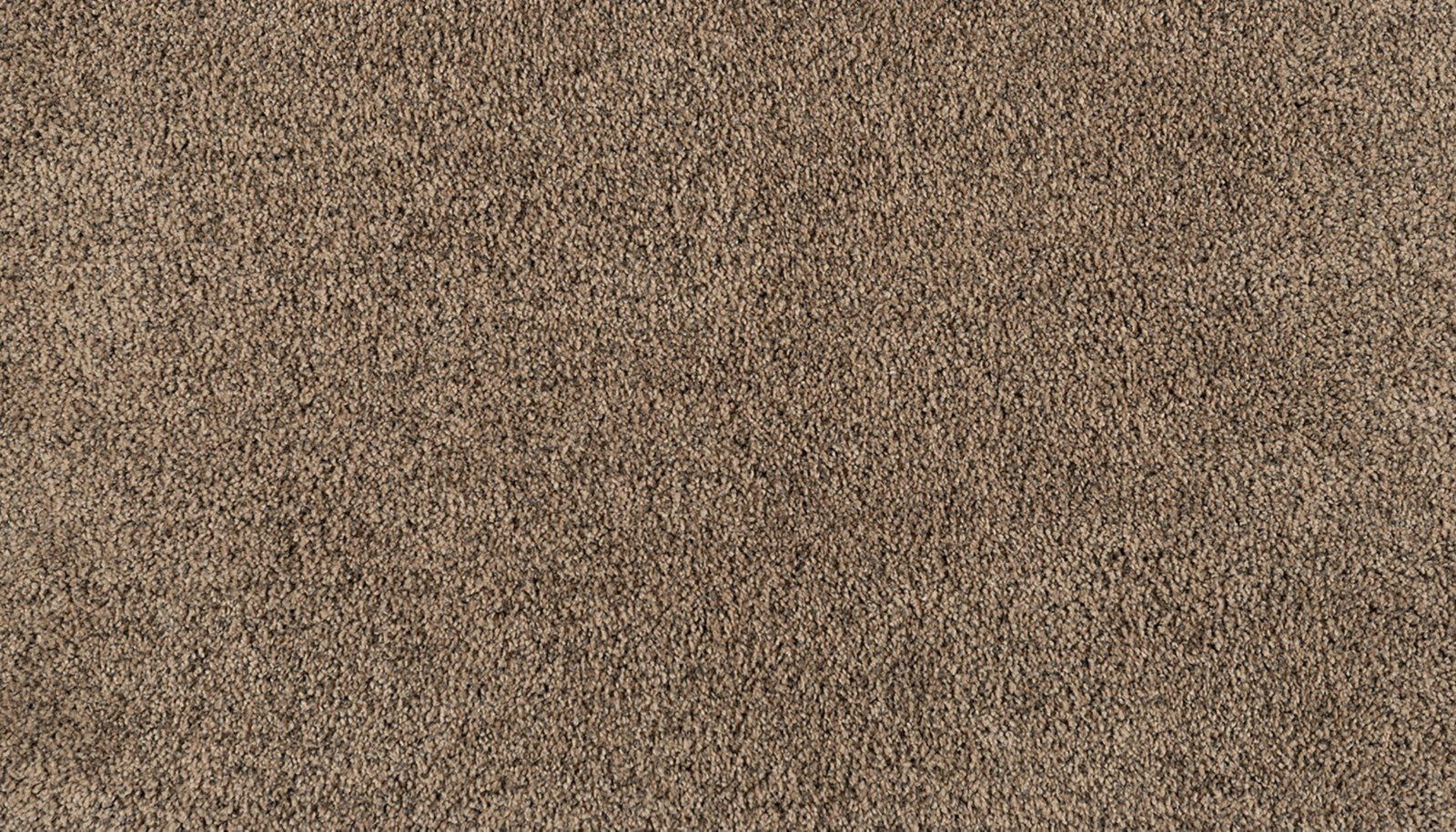 Mohawk Reverie in Regal, Carpet product detail