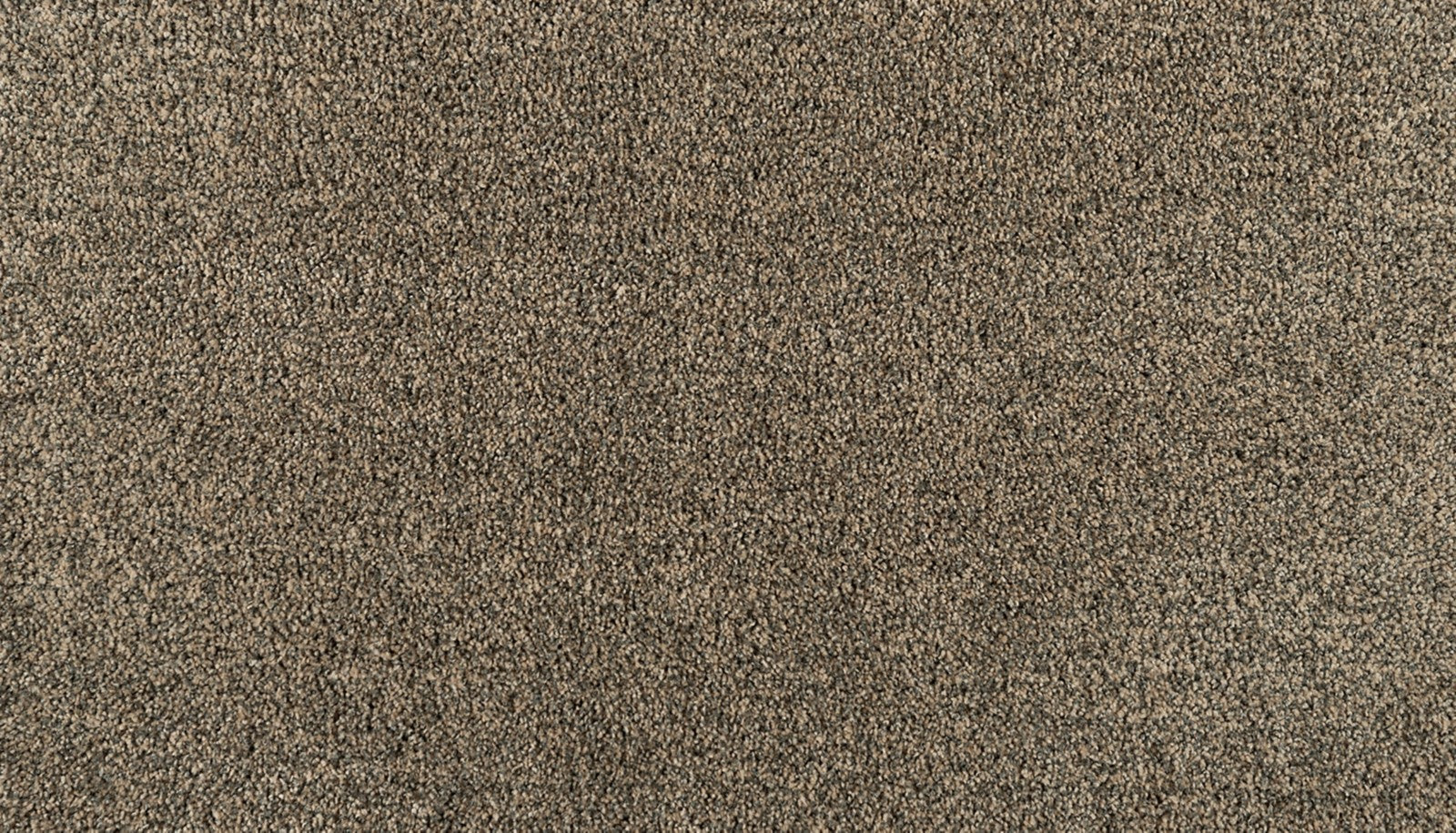 Mohawk Reverie in Majestic, Carpet product detail